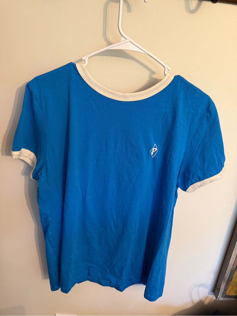 NWT Patagonia Ringer tee